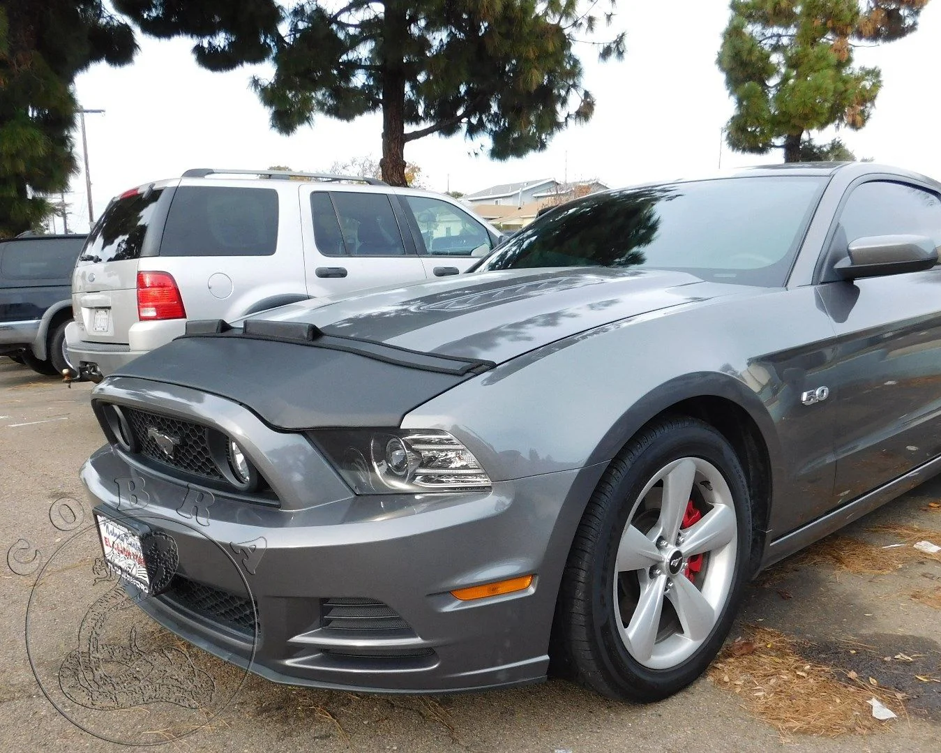 Hood Bra For Ford Mustang 2013-2014 - Image 4