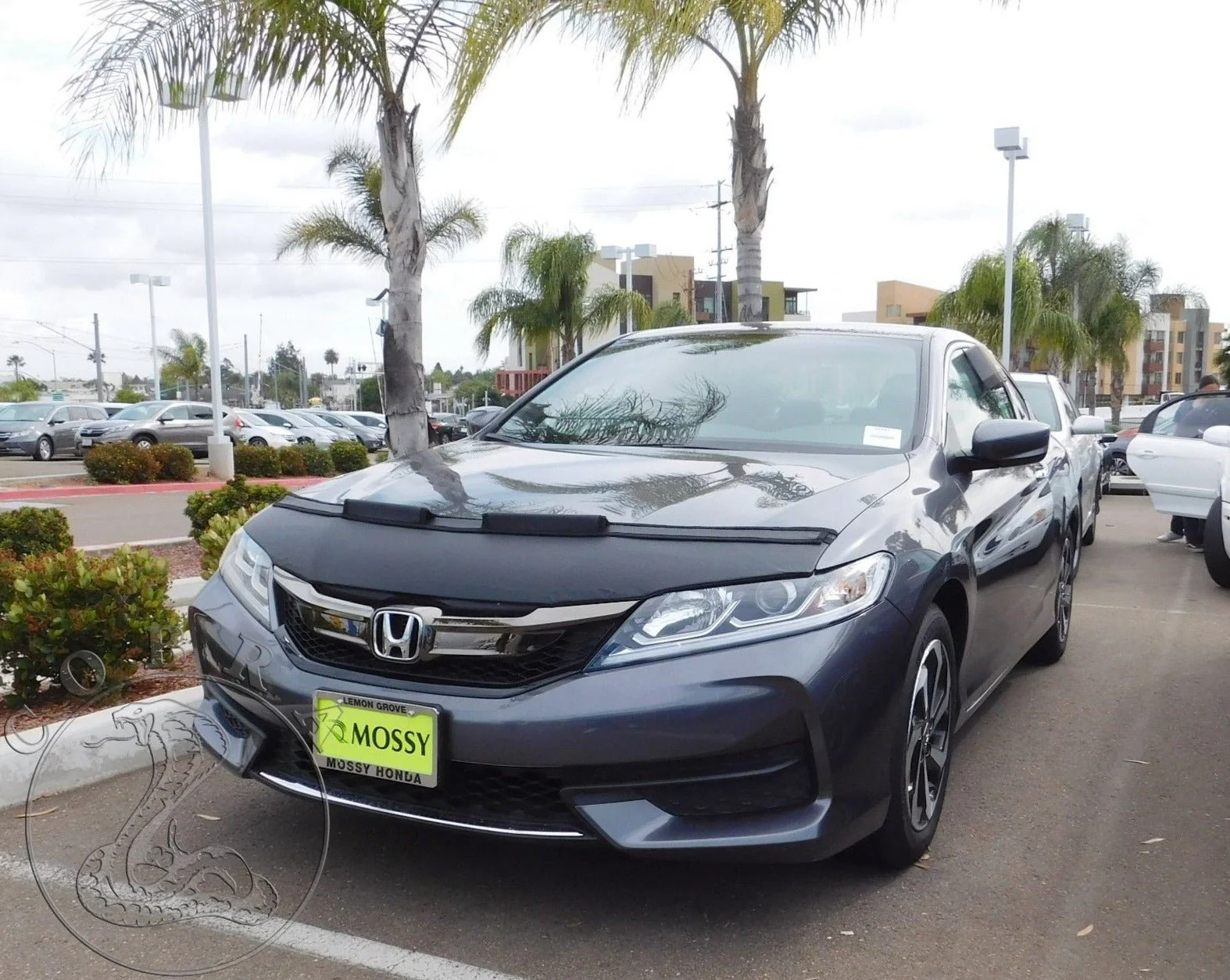 Hood Bra For Honda Accord 2013-2019 Coupe - Image 5