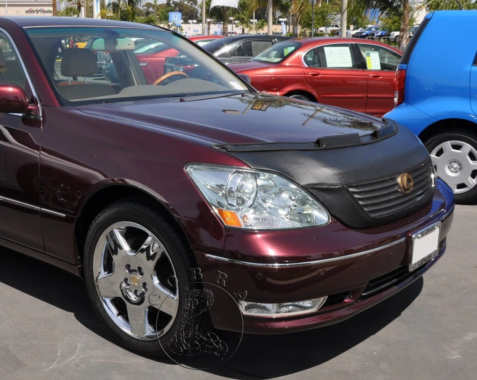 Hood Bra For Lexus LS 2001-2006 - Image 4